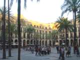 Plaa Reial